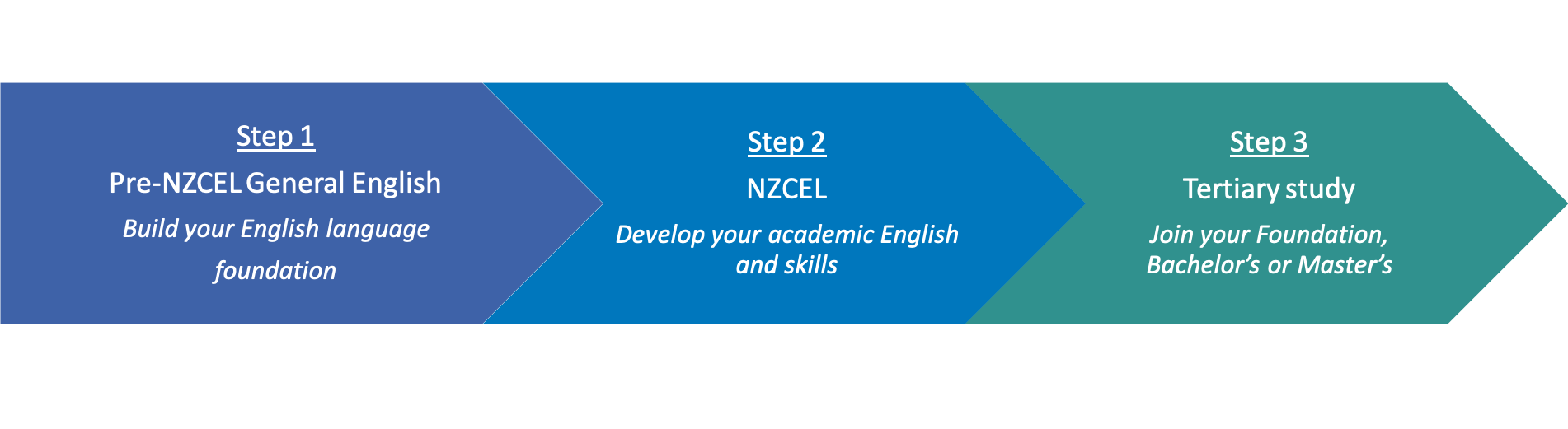 UUNZ pathways overview — NZCEL, proficiency exam preparation, and tertiary readiness
